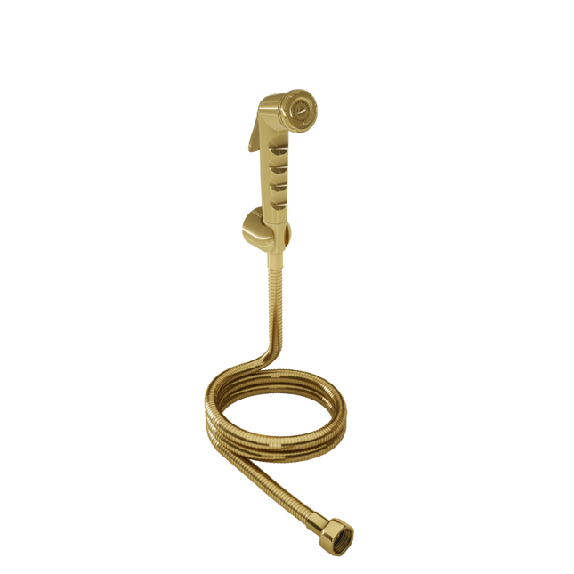 Dush higjienik (Spërkatës higjienik për WC)